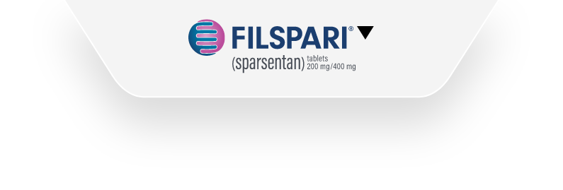 FILSPARI Logo